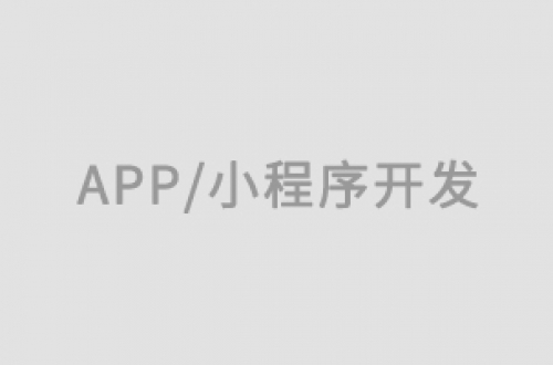 一文读懂！上海小程序开发的核心决胜之道