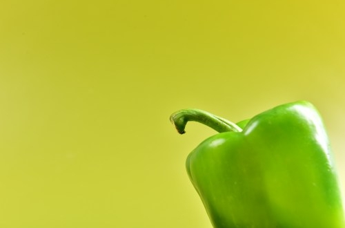 长沙自助售卖机APP开发方案