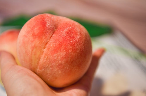 济南外卖跑腿app软件开发有哪些功能？