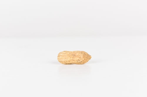 供应链管理之资源横向集成原理