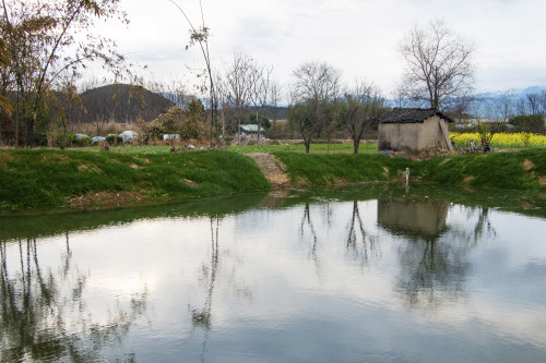 银川小程序开发