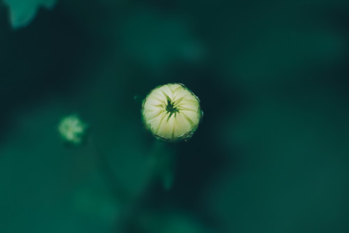 广州小程序开发