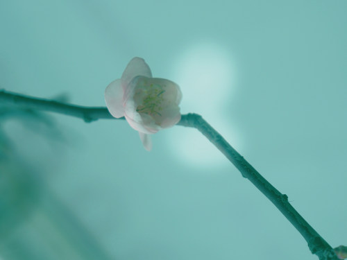 ERP管理系统