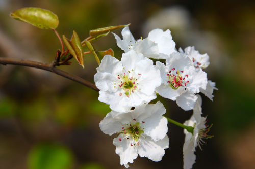 APP外包