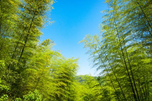 上海软件开发