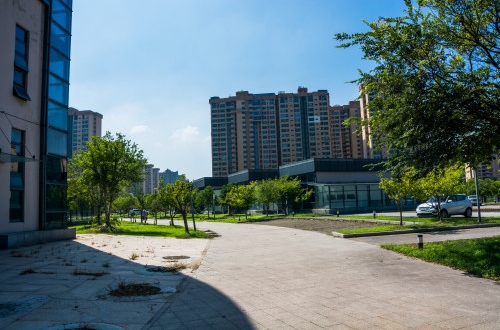 如何利用张家口小程序开发实现低成本高收益？